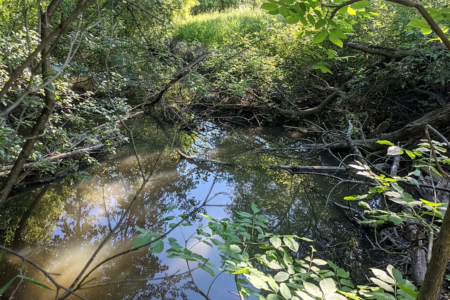 Salt Creek in Rolling Meadows